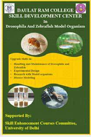 Prasad’s Online Session