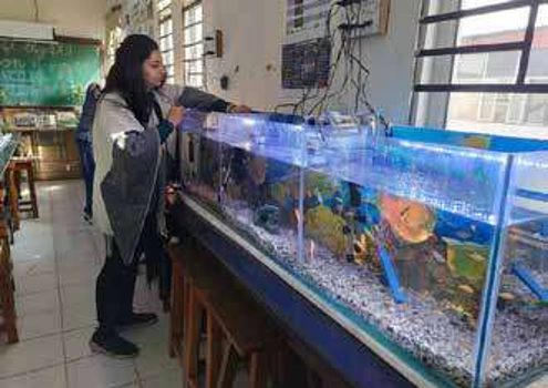 International Participant-Taniya